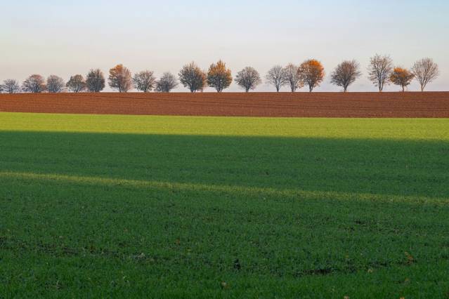 Biofelder in Neuenhoven