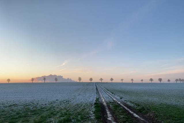 Biofelder in Neuenhoven - Winter
