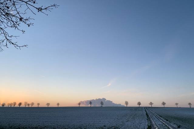 Biofelder in Neuenhoven - Winter 2